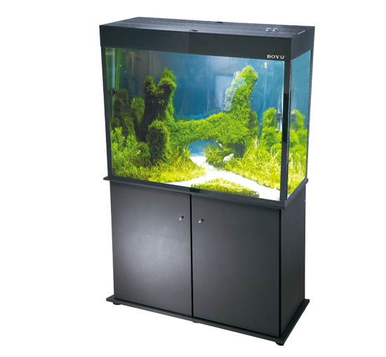 Aquarium Tanks & Furniture