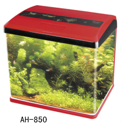 Mini fashionable desktop aquariums